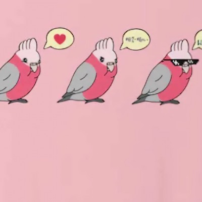 T(hree) Birds